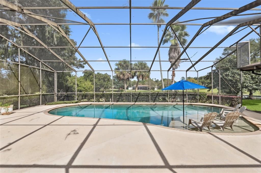Glass Ceilings, Interior, Pool, Sun Room