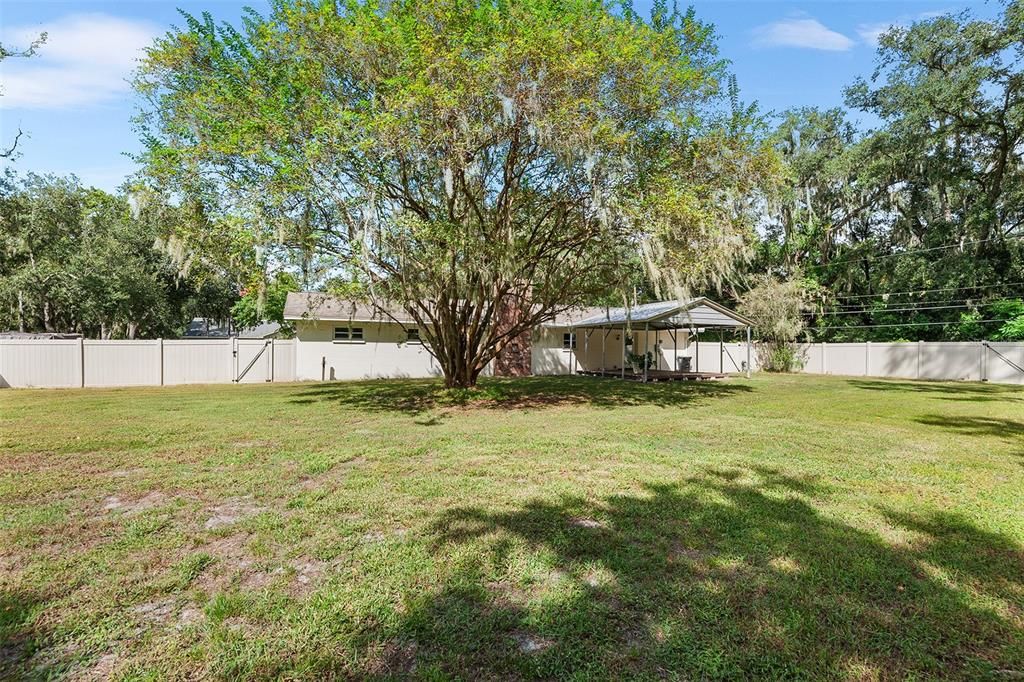 Backyard, Exterior