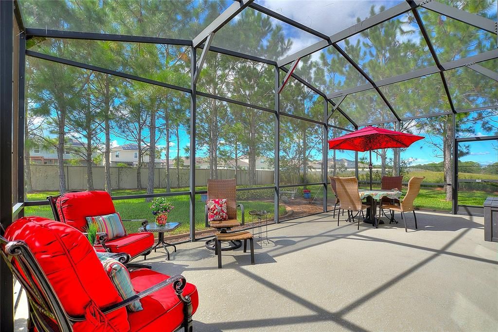 Glass Ceilings, Interior, Sun Room