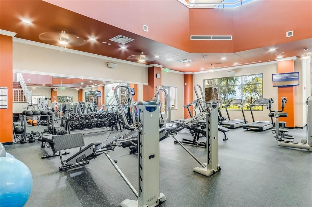 Fitness Equipment, Gym, Interior, Recessed Lighting