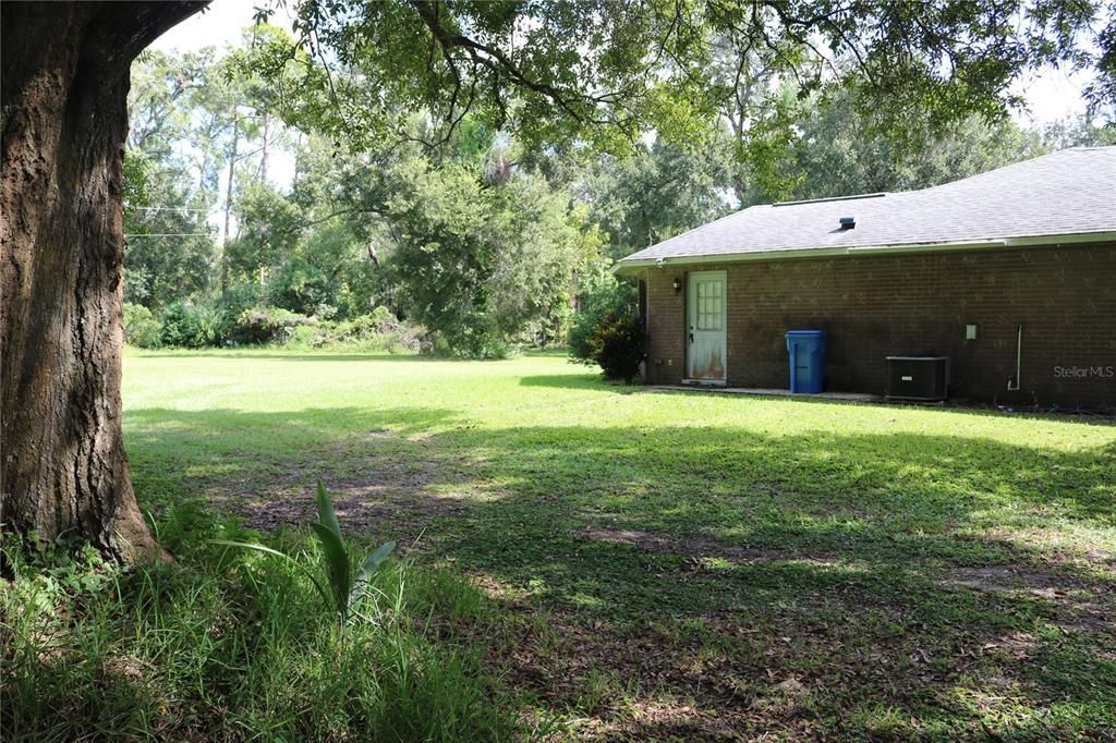 Backyard, Exterior
