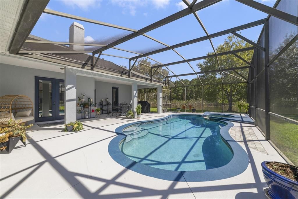 Glass Ceilings, Interior, Pool, Sun Room