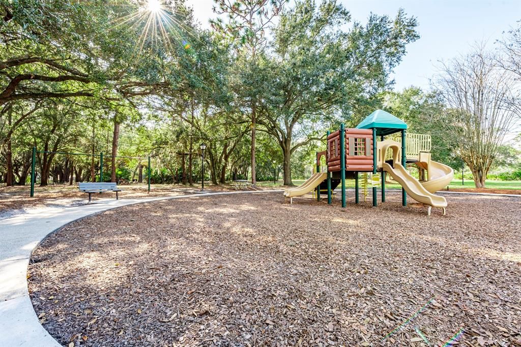Backyard, Exterior, Playground