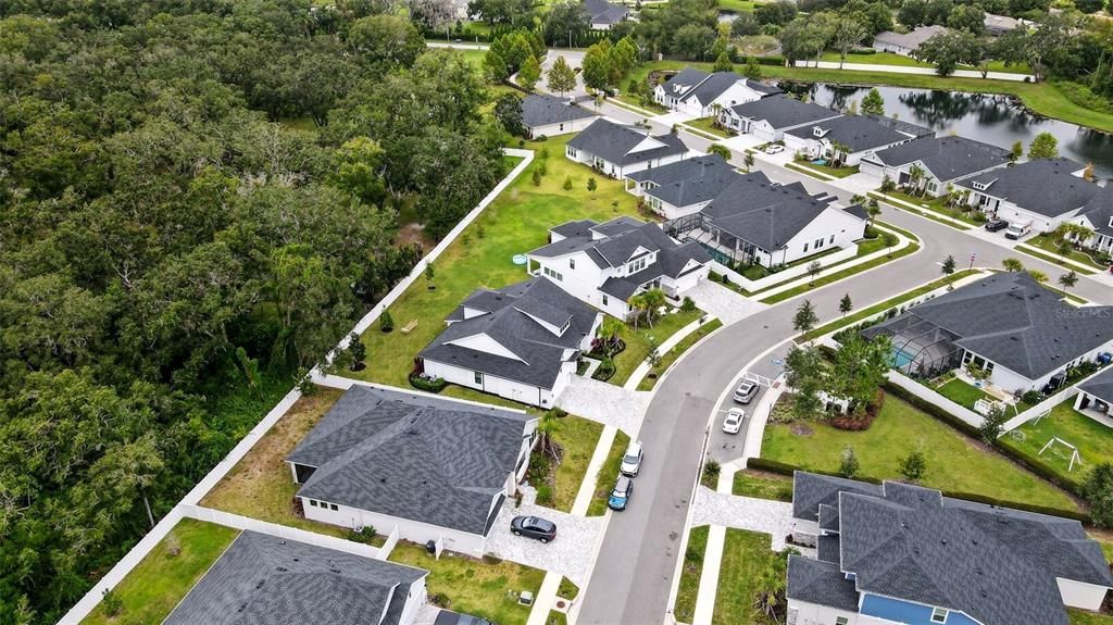 Exterior, Drone