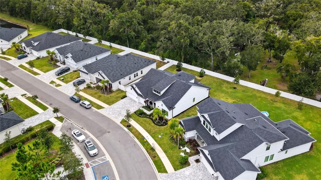 Exterior, Drone