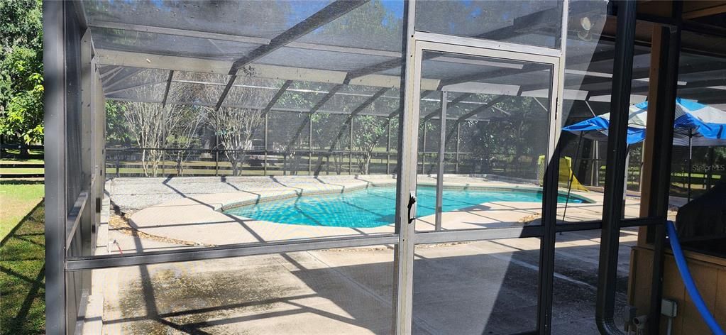Glass Ceilings, Interior, Pool, Sun Room