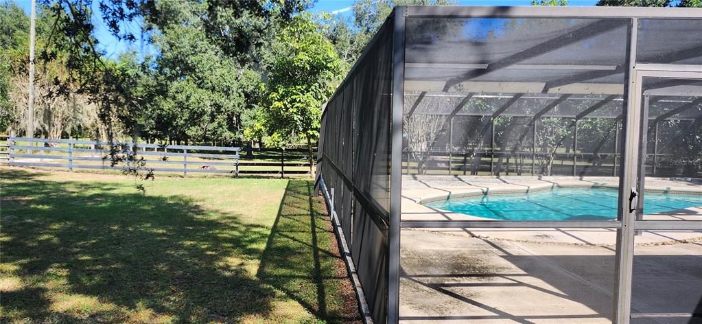 Backyard, Exterior, Pool