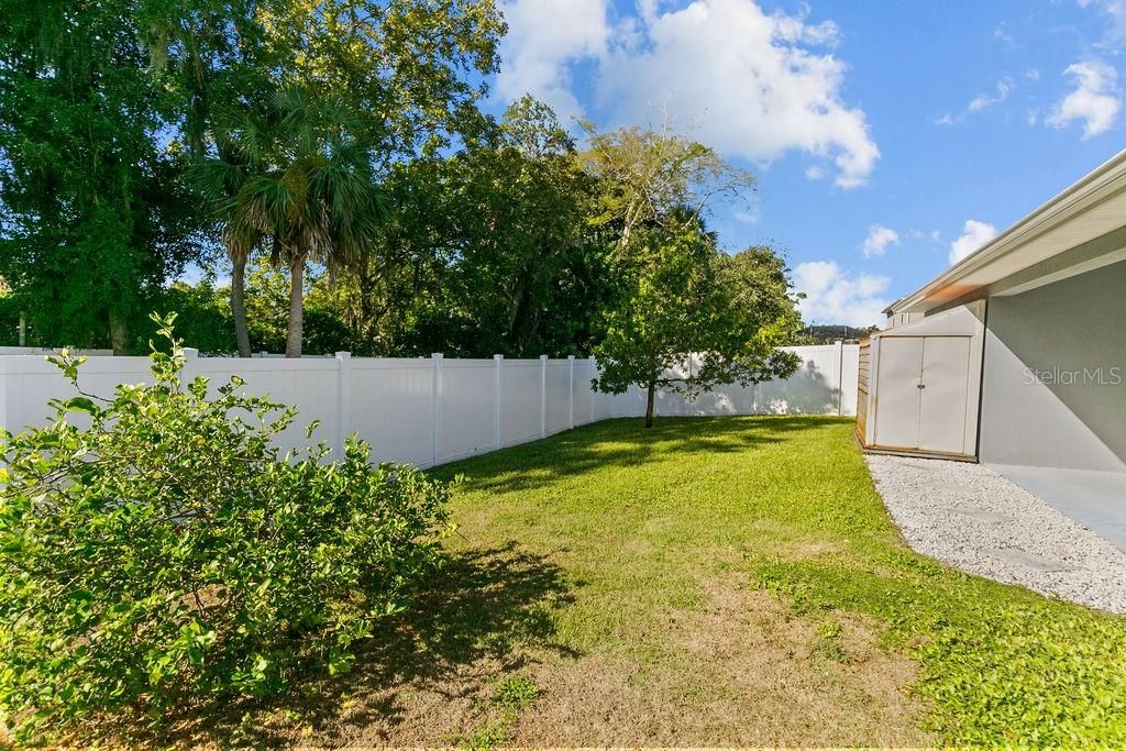 Backyard, Exterior
