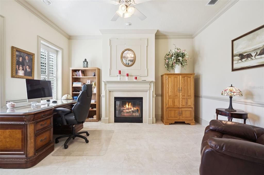 Fireplace, Home Office, Interior
