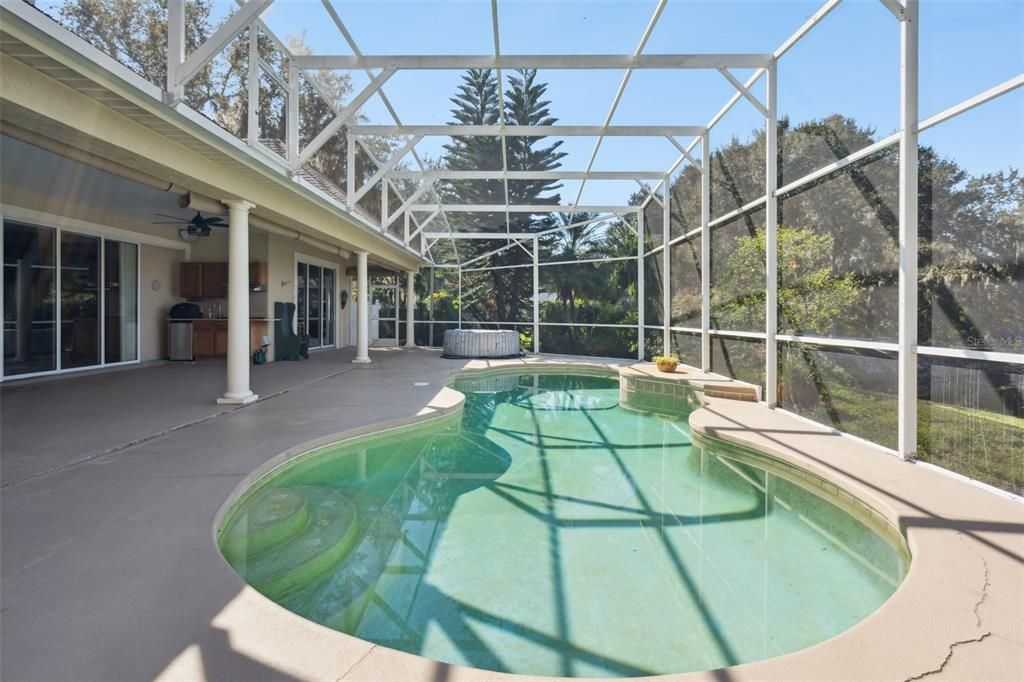Glass Ceilings, Interior, Pool, Sun Room