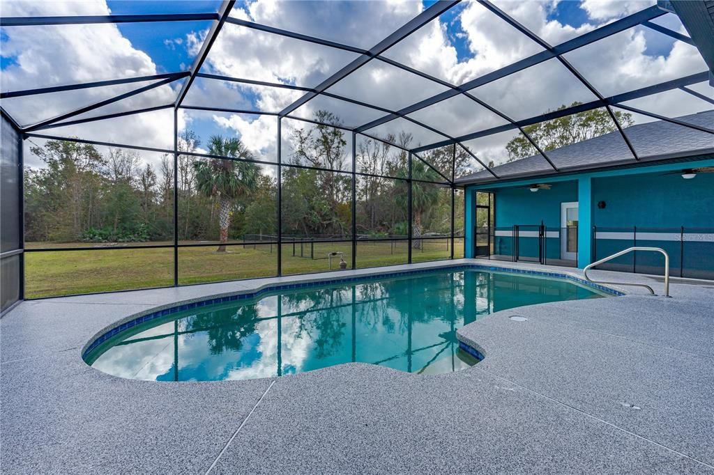 Glass Ceilings, Interior, Pool, Sun Room