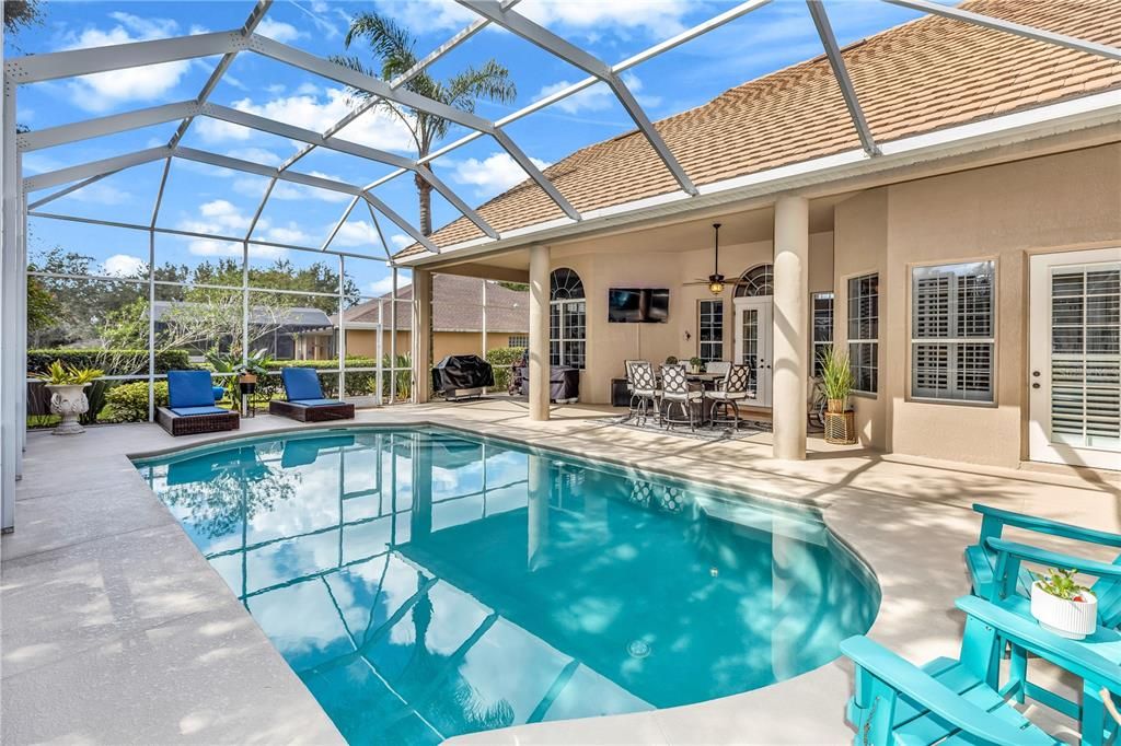 Glass Ceilings, Interior, Pool, Sun Room