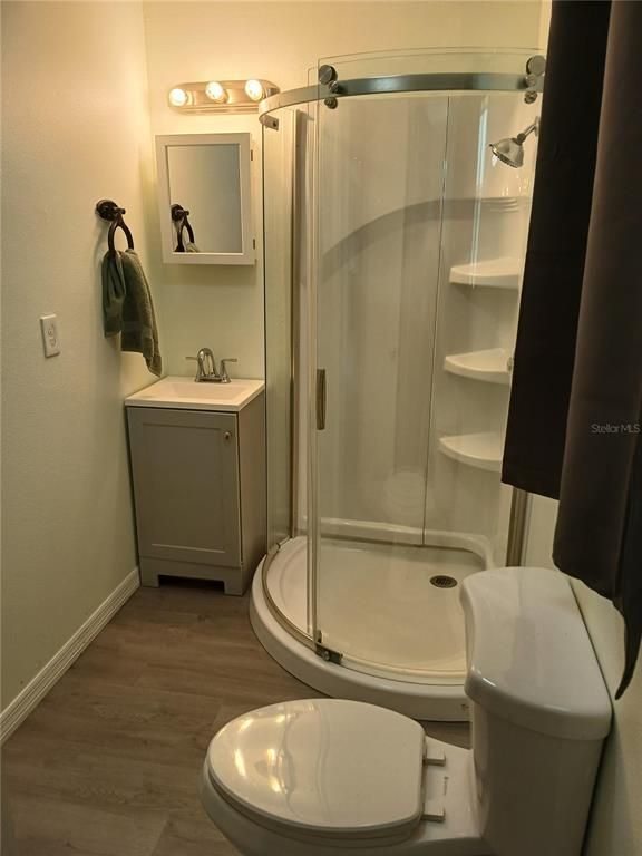 Bathroom, Glass Shower, Interior, Wood Texture Flooring