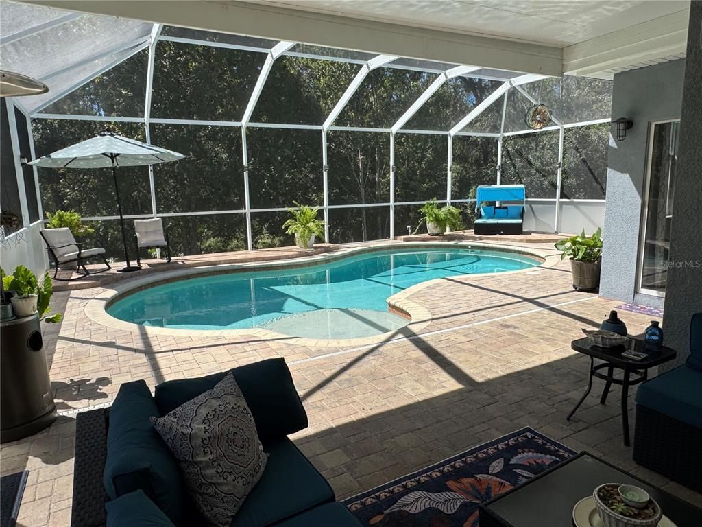 Glass Ceilings, Interior, Pool, Sun Room
