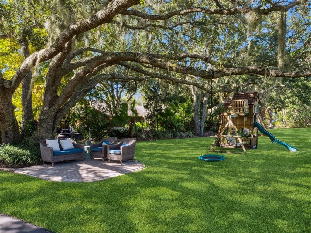 Backyard, Exterior, Playground