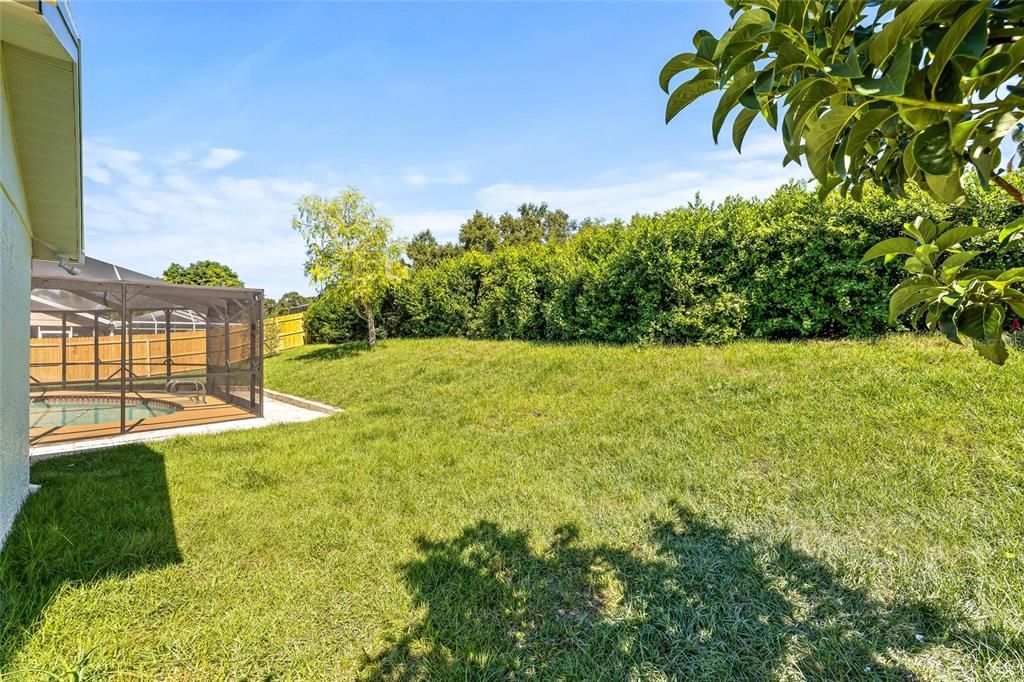 Backyard, Exterior