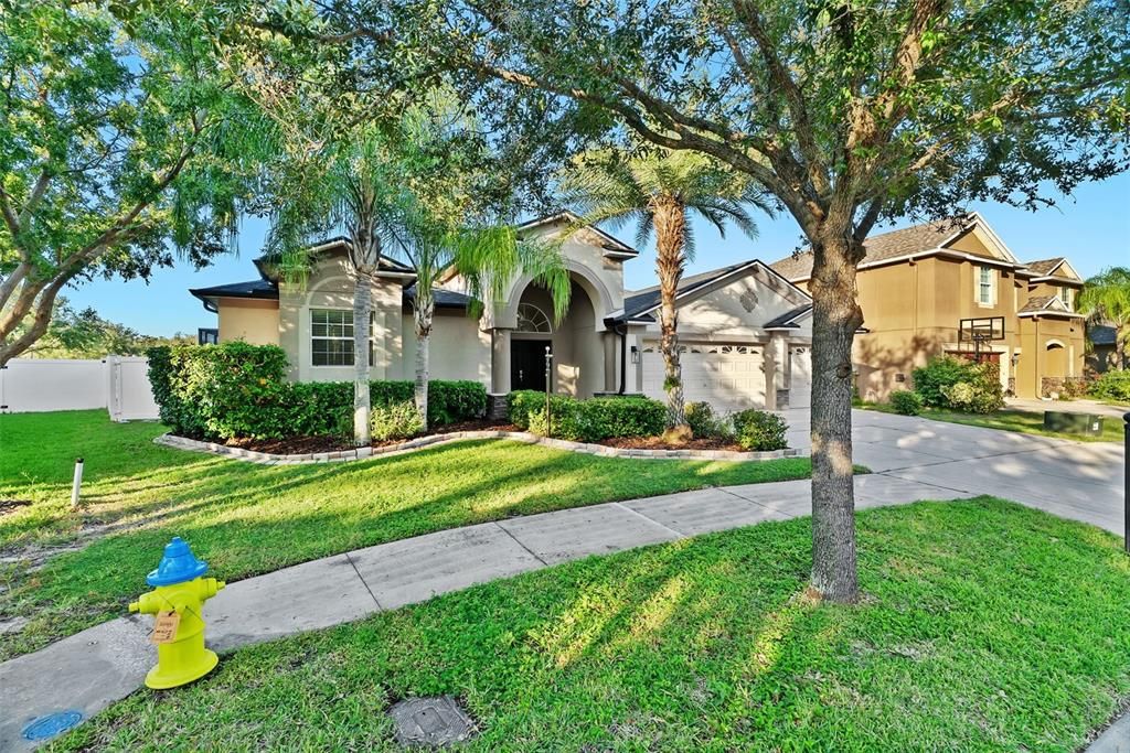Backyard, Exterior, Facade, Mediterranean