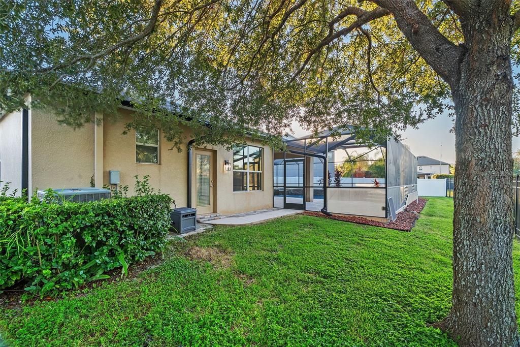 Backyard, Exterior