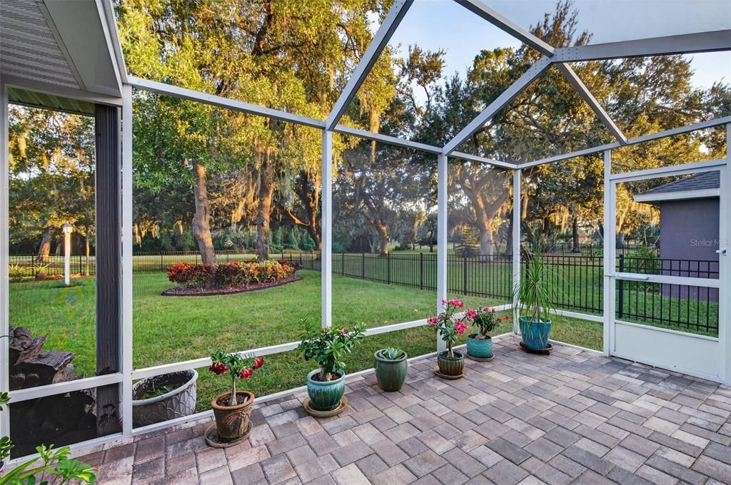 Glass Ceilings, Interior, Sun Room