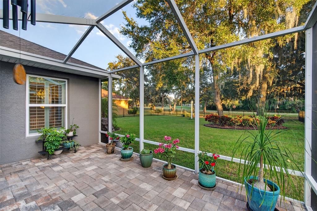 Glass Ceilings, Interior, Sun Room