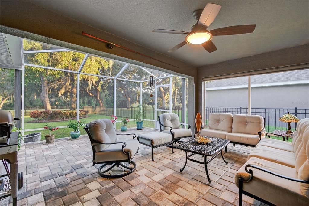 Glass Ceilings, Interior, Living room, Sun Room