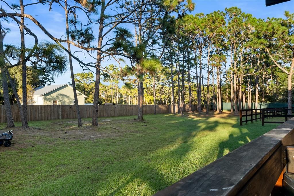 Backyard, Exterior