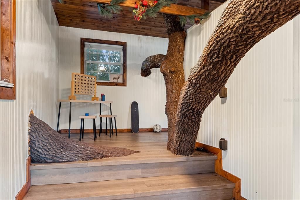 Interior, Wooden Ceilings, Wood Texture Flooring