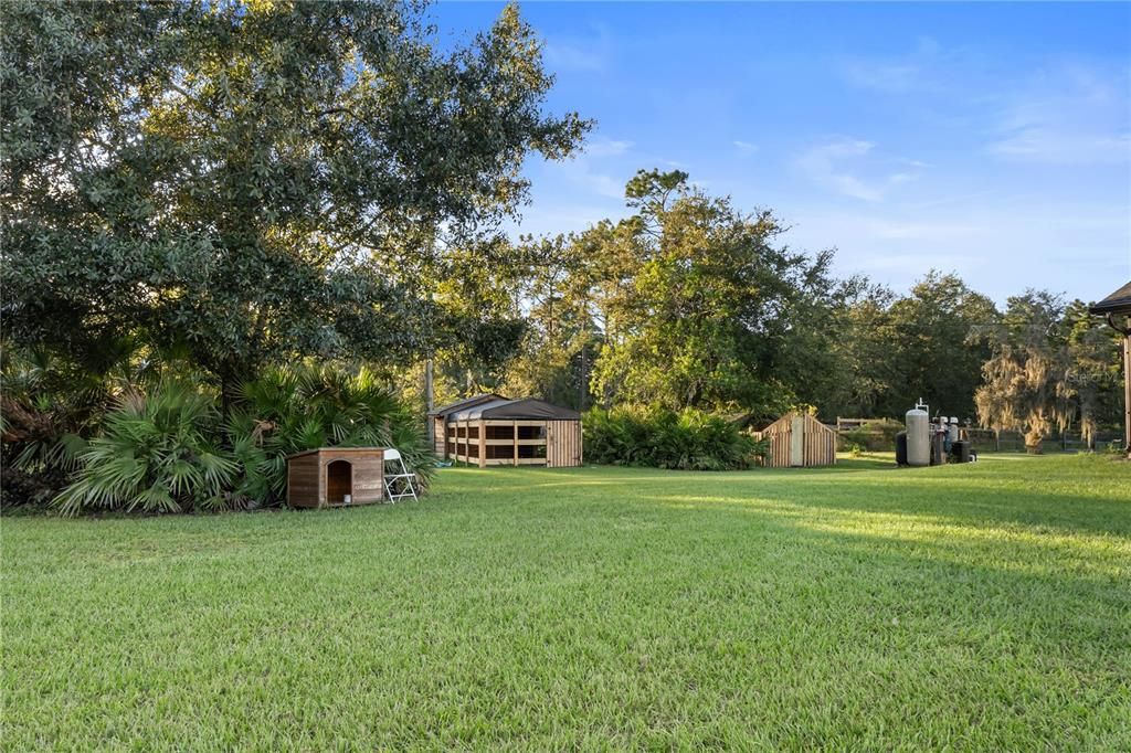 Backyard, Exterior