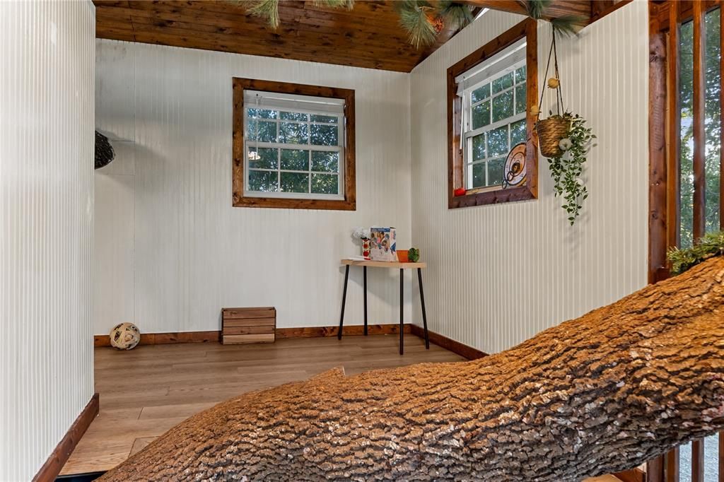 Interior, Wooden Ceilings, Wood Texture Flooring