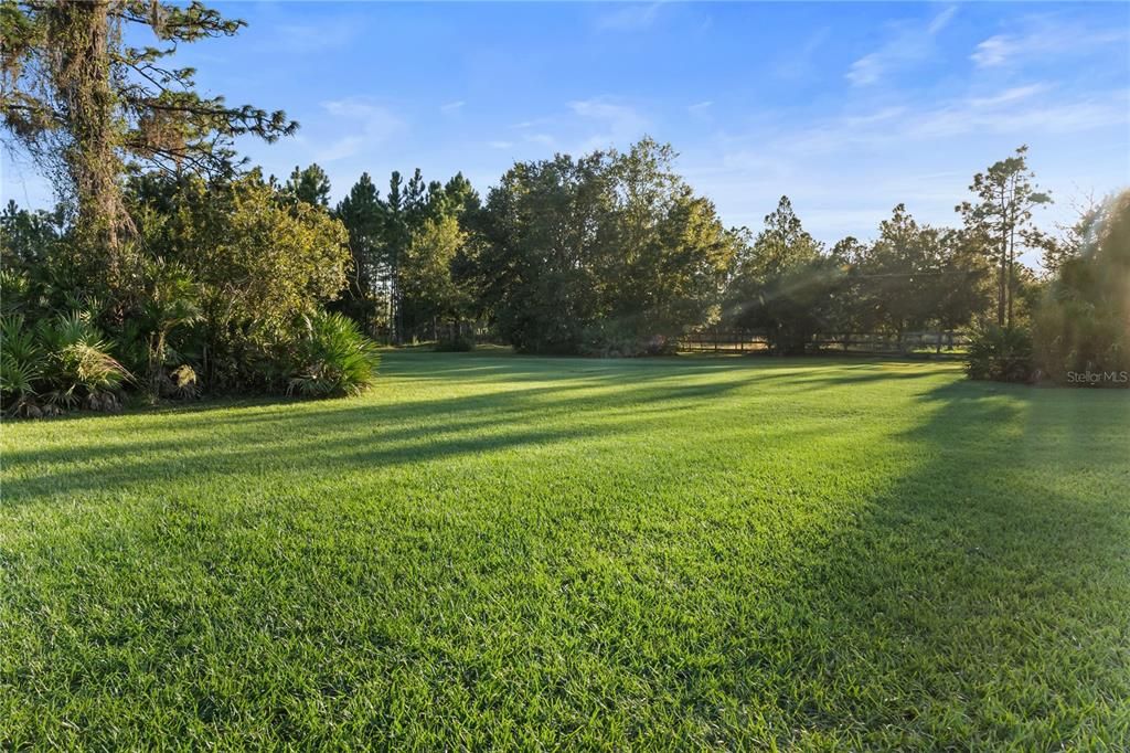 Backyard, Exterior