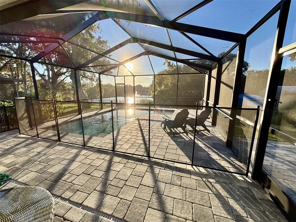 Glass Ceilings, Interior, Pool, Sun Room