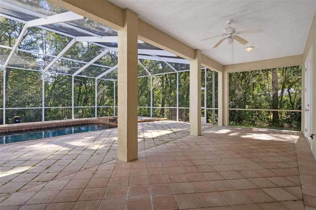 Glass Ceilings, Interior, Pool, Sun Room