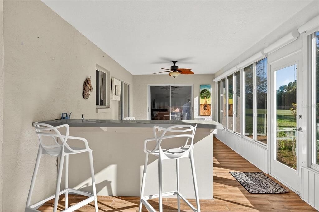Interior, Sun Room, Wood Texture Flooring
