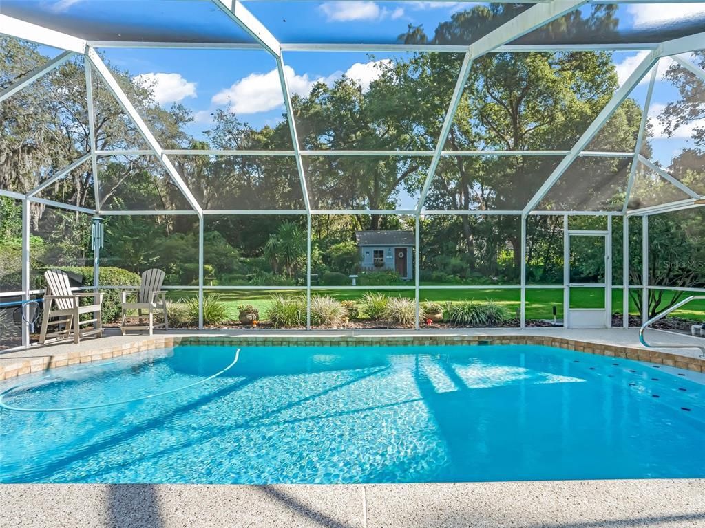 Glass Ceilings, Interior, Pool, Sun Room