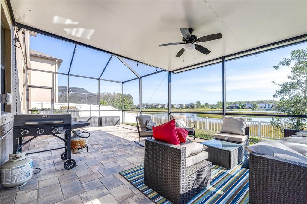 Glass Ceilings, Interior, Sun Room, Water