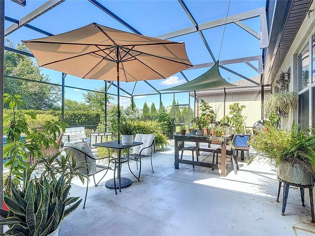 Glass Ceilings, Interior, Sun Room