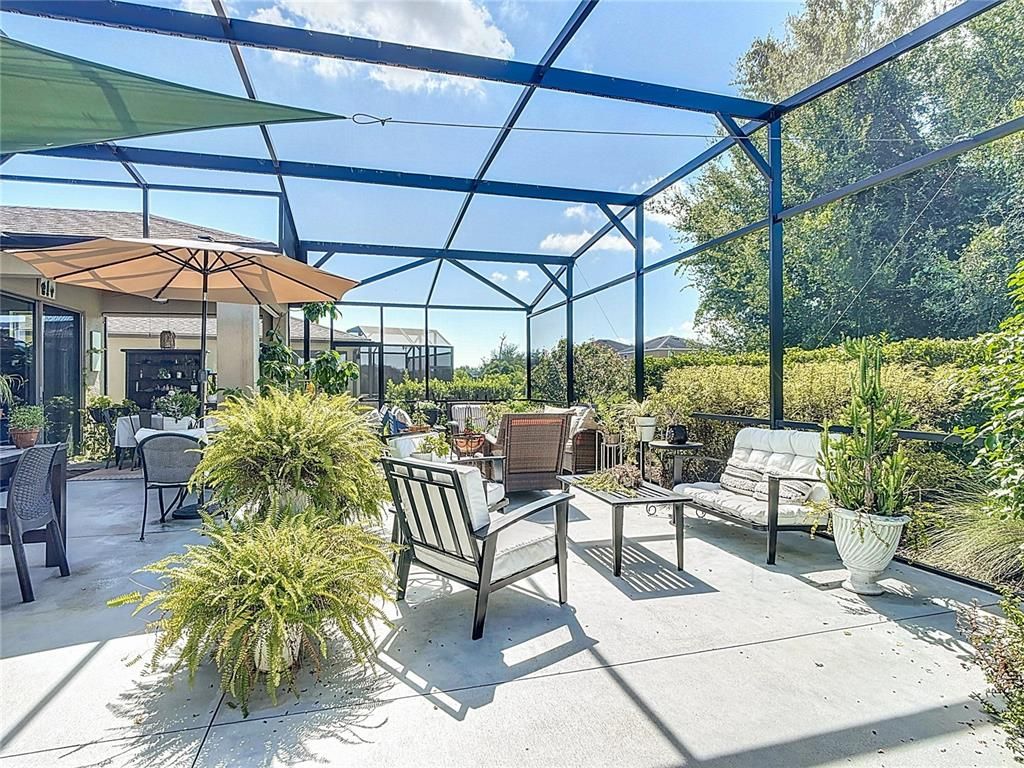 Glass Ceilings, Interior, Sun Room
