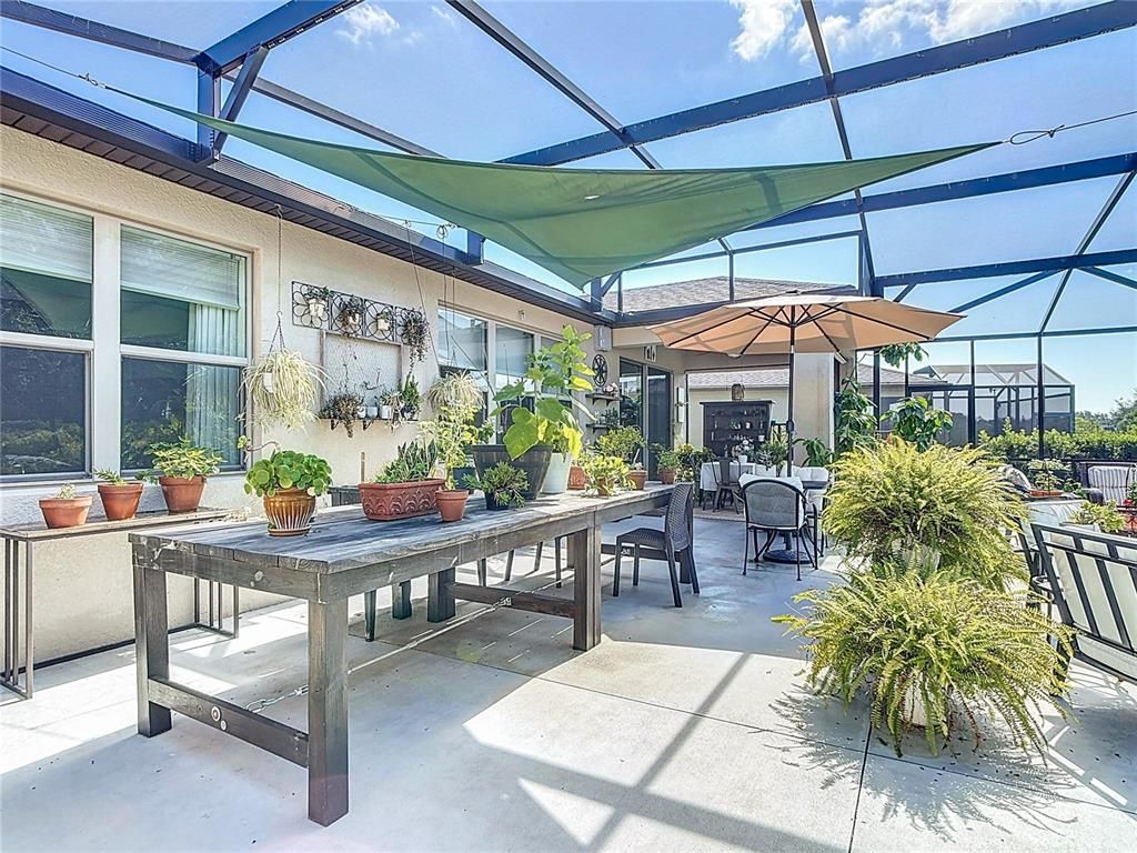 Glass Ceilings, Interior, Sun Room