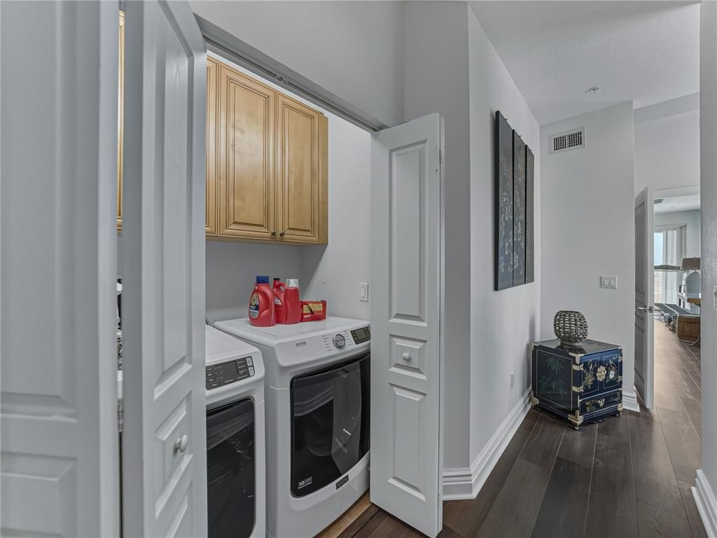 Interior, Washer, Wood Texture Flooring