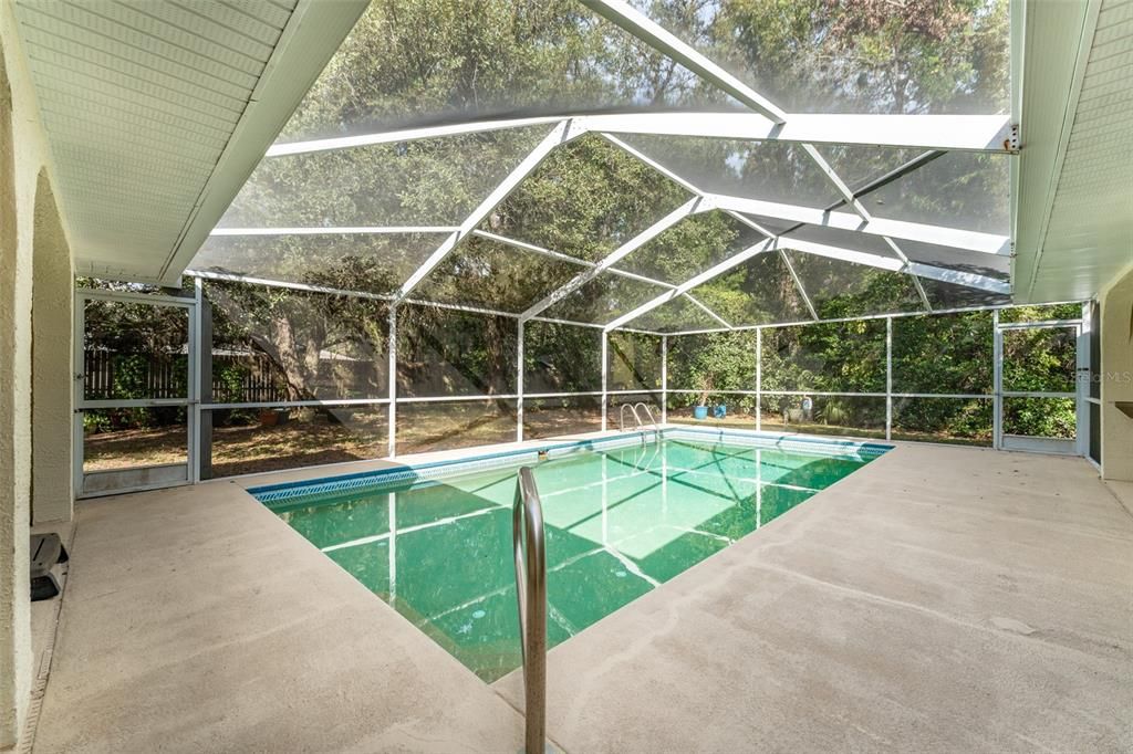 Glass Ceilings, Interior, Pool, Sun Room