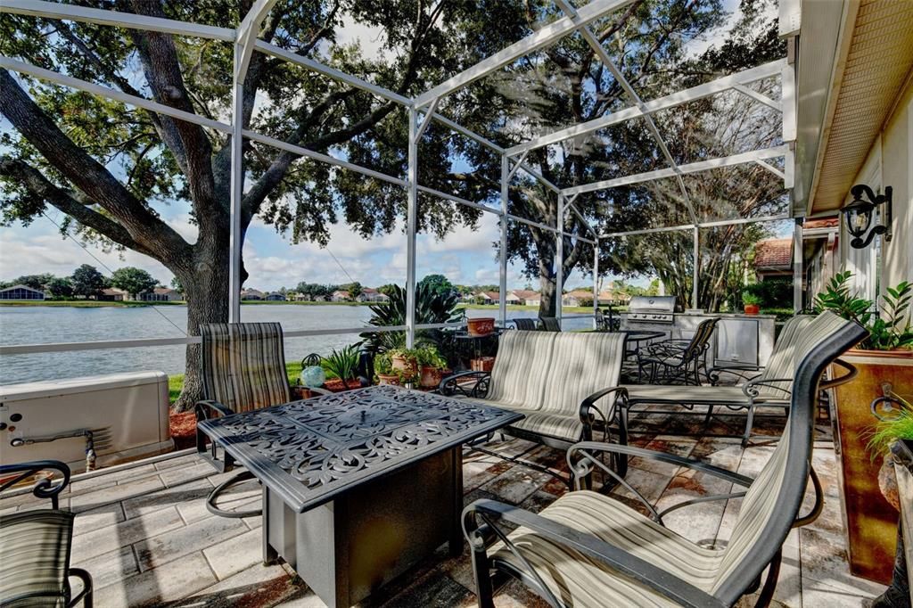 Glass Ceilings, Interior, Sun Room, Water