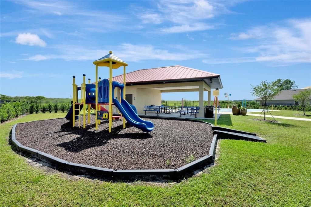 Backyard, Exterior, Playground