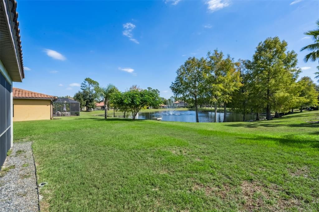 Backyard, Exterior, Water