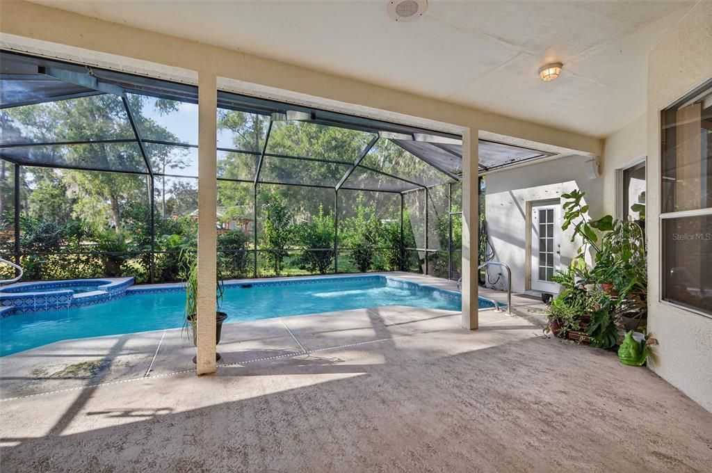 Glass Ceilings, Interior, Pool, Sun Room