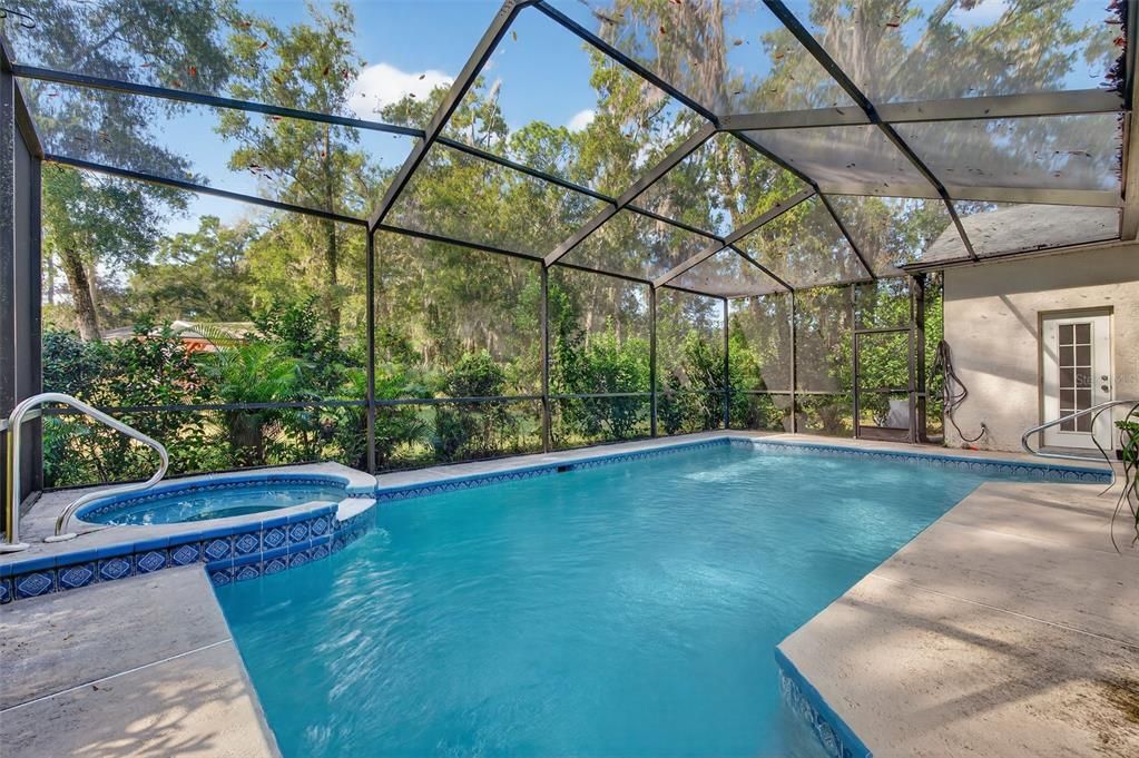 Glass Ceilings, Interior, Pool, Sun Room