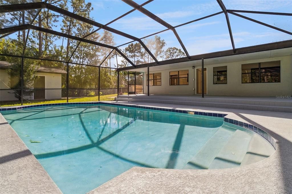 Glass Ceilings, Interior, Pool, Sun Room