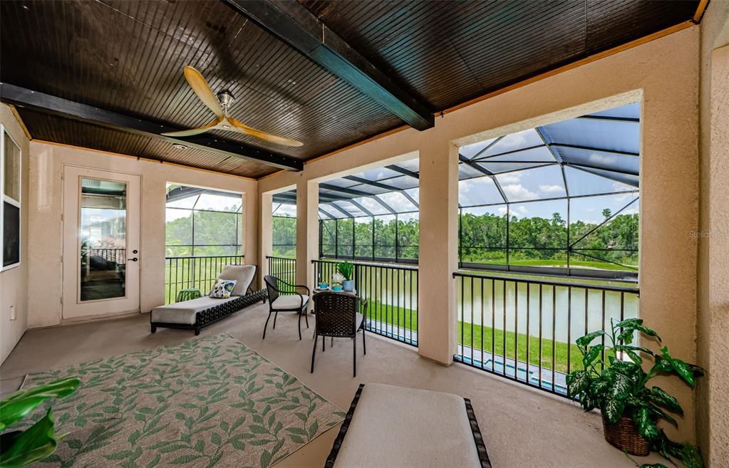 Glass Ceilings, Interior, Sun Room