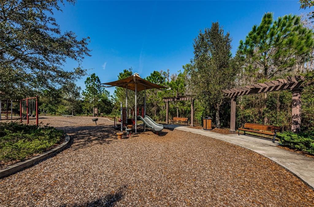 Backyard, Exterior, Playground