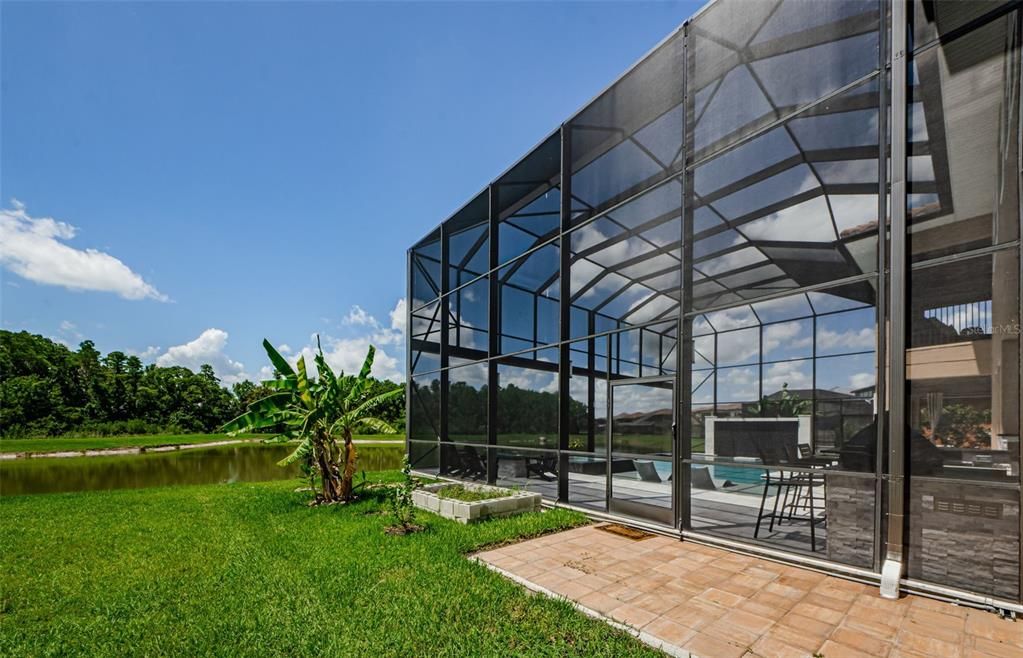 Backyard, Exterior, Water