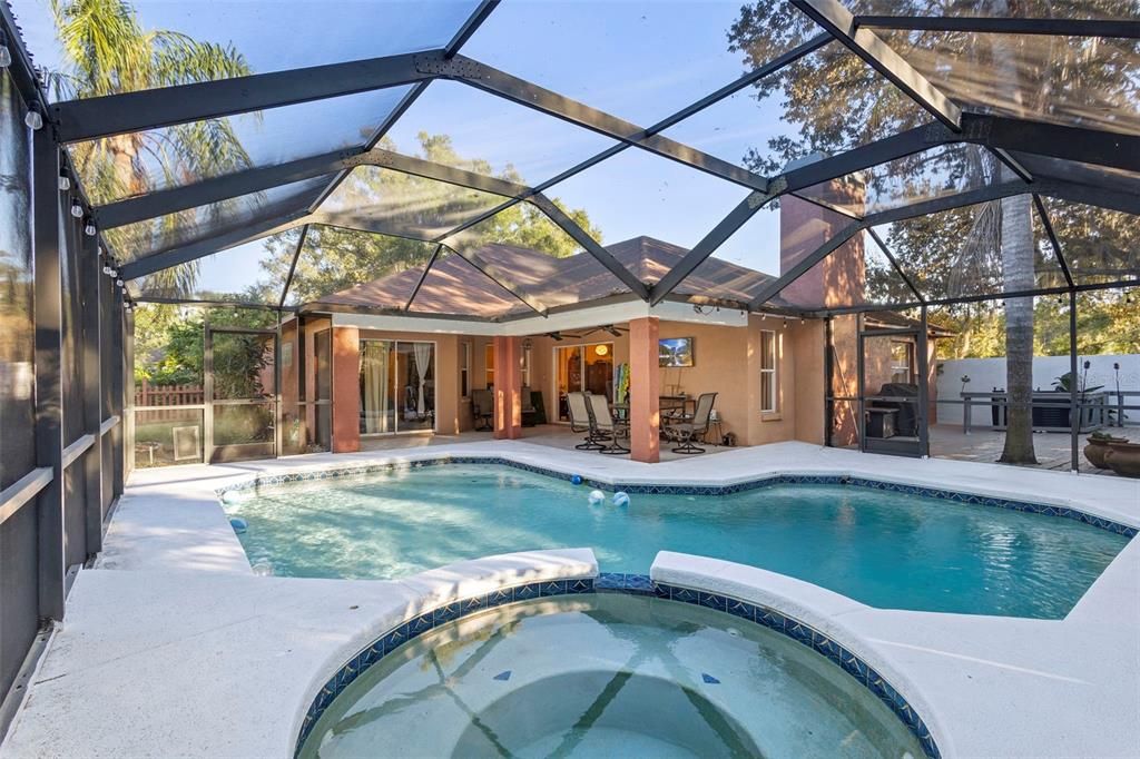 Glass Ceilings, Interior, Pool, Sun Room